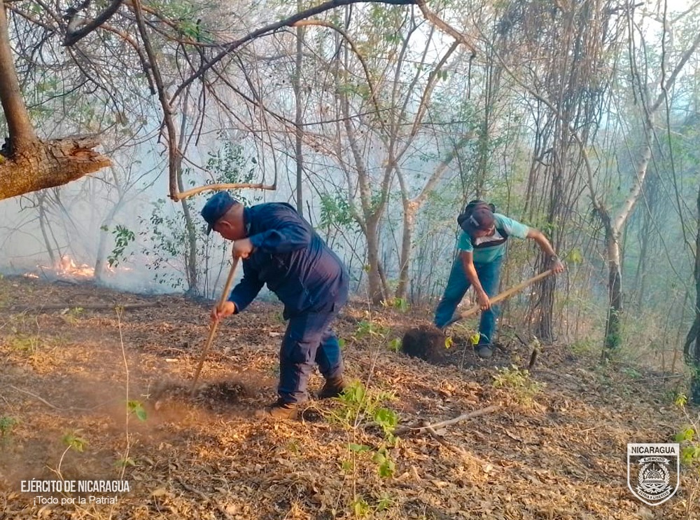 #NOTAINFORMATIVA | A través del #DistritoNavalPacífico, se participó en sofocación de incendio forestal en la comunidad de Cabo de Horno, municipio de El Viejo, #Chinandega, logrando extinguir un fuego en un área de 786 manzanas de bosques. #TodoPorLaPatria