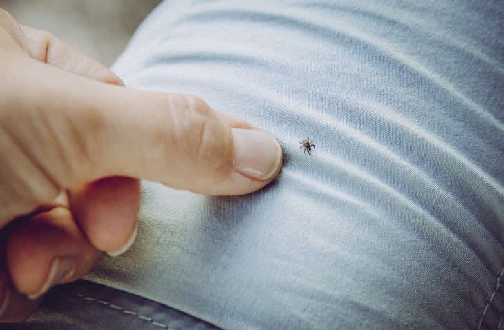 Participating in a community clean-up? Protect yourself from ticks. Apply a repellant with DEET. Wear light coloured clothing, tuck your pants in your socks and wear fully enclosed shoes. Do a thorough tick check when you get home. For more information: bit.ly/2FYOKBL