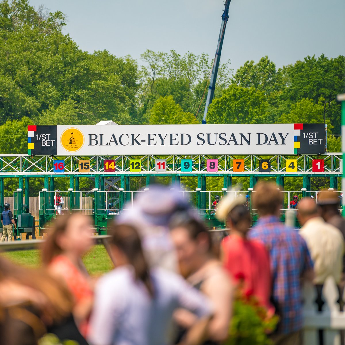 100 years of the fastest fillies. Celebrate the 100th running of the Black-Eyed Susan Stakes on Friday, May 17. Tickets available now. #Preakness149 🏇 Get your tickets before prices go up Wednesday, April 24.