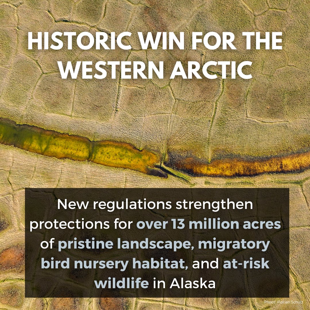 TrusteesForAK's tweet photo. In a historic move, @POTUS @Interior has announced the final rule that strengthens protections for Special Areas in the Western Arctic. This is a big step towards addressing climate change &amp; protecting wildlife → https://t.co/ez6eNWy78q