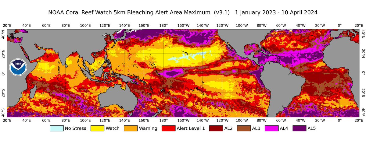 NOAA report this week indicates higher marine temperatures have triggered another global coral bleaching event, with corals in both hemispheres impacted. This is the fourth global event. buff.ly/3TTUn7y