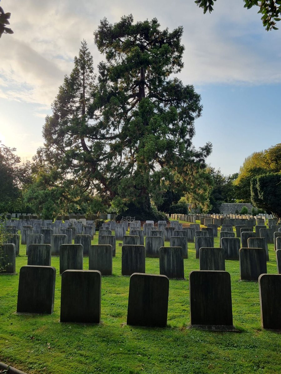 DAQCFriends's tweet photo. Have you wondered what a Quaker Burial Ground looks like?
Temple Hill Burial Ground are offering group tours.

#DAQC #QuakersDublin https://t.co/7kmD4ICGXQ