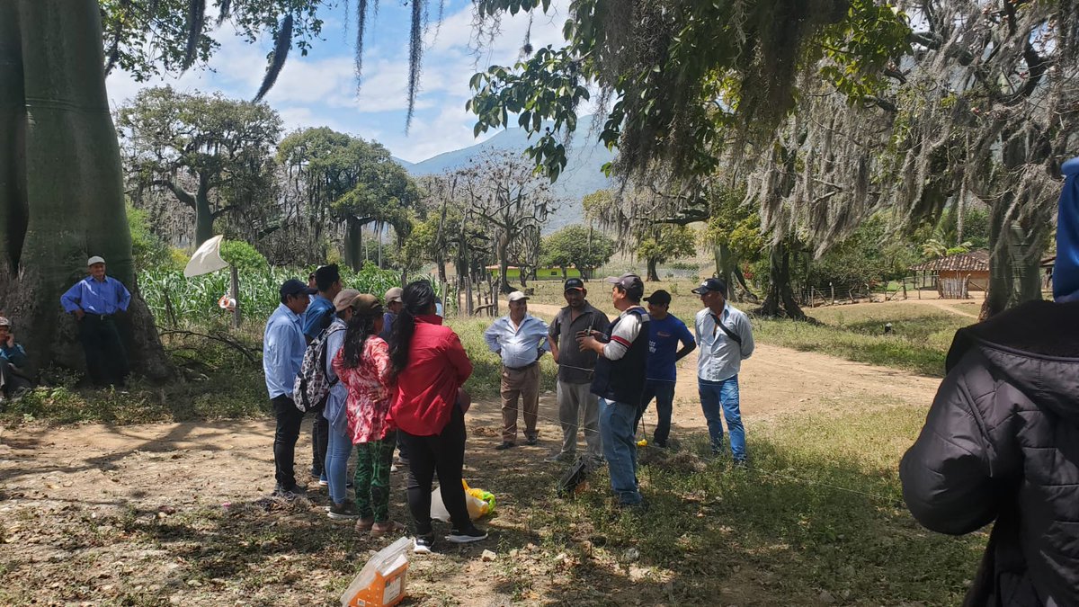 prefecturaloja's tweet photo. 📌 #Tacamoros - #SOZORANGA
En el barrio #ElCeibal capacitamos en producción y aprovechamiento de forrajes para #Caprinos en el marco del proyecto #ECAs (Escuelas de Capacitación Agrícola), en articulación con el GAD Parroquial de Tacamoros.
#SabemosTrabajar 🚜 https://t.co/finhzMO7Jr