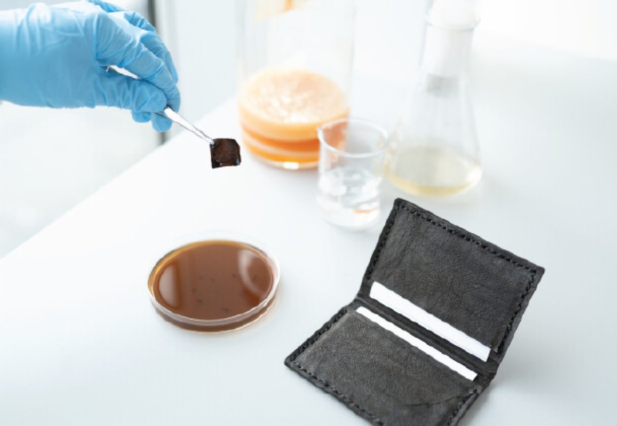 Self-dyeing bacterial black leather materialdistrict.com/article/self-d…

#materialinspiration #bacterialcellulose #leatheralternative #dye #bacteria #textiledye #imperialcollegelondon #materialdistrict #fashiondesign