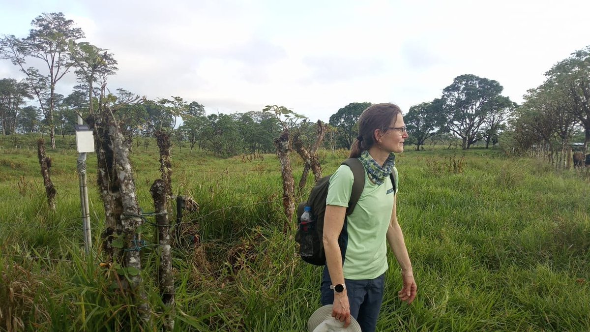 Veerle Vanacker tweet media