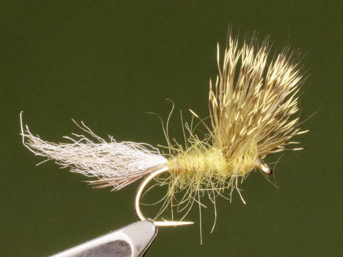 Melvyn Wood behind the vice here tying his Mayfly Dun! A very informative tutorial check out how Melvyn ties these and how he fishes them too! Great work, Melvyn!

youtube.com/watch?v=PXJHuF…

#semperfli #semperfliworldwide #semperfliproteam #flytying #flyfishing #irishflies