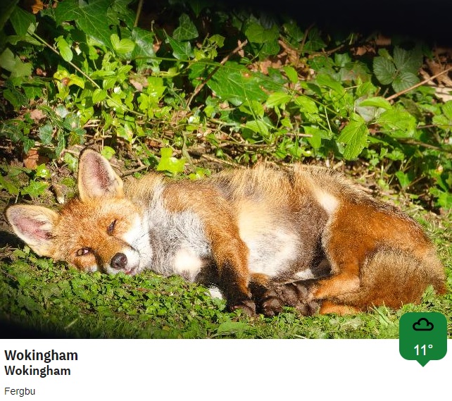 BBCSouthWeather's tweet photo. Some sunny @BBCWthrWatchers pictures from today. https://t.co/tVq6uRh5Y2