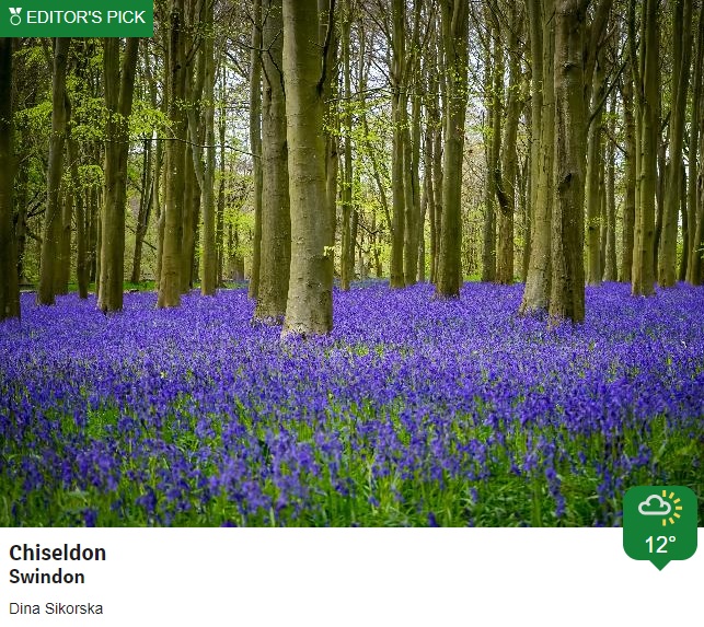 BBCSouthWeather's tweet photo. Some sunny @BBCWthrWatchers pictures from today. https://t.co/tVq6uRh5Y2