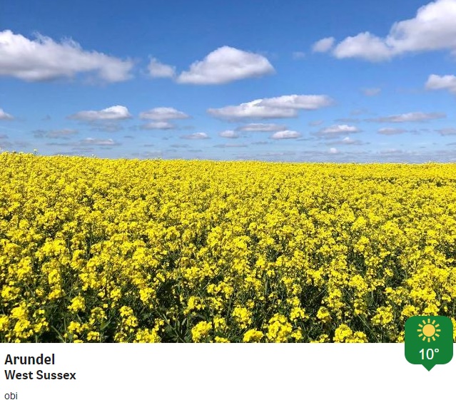 BBCSouthWeather's tweet photo. Some sunny @BBCWthrWatchers pictures from today. https://t.co/tVq6uRh5Y2
