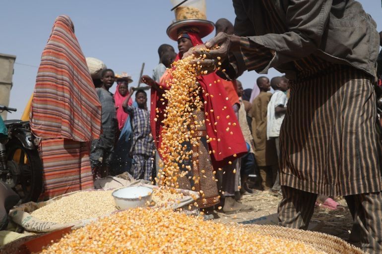 Nearly 55 million face hunger in West and Central Africa, UN warns | Hunger News | Al Jazeera buff.ly/4cYAepB