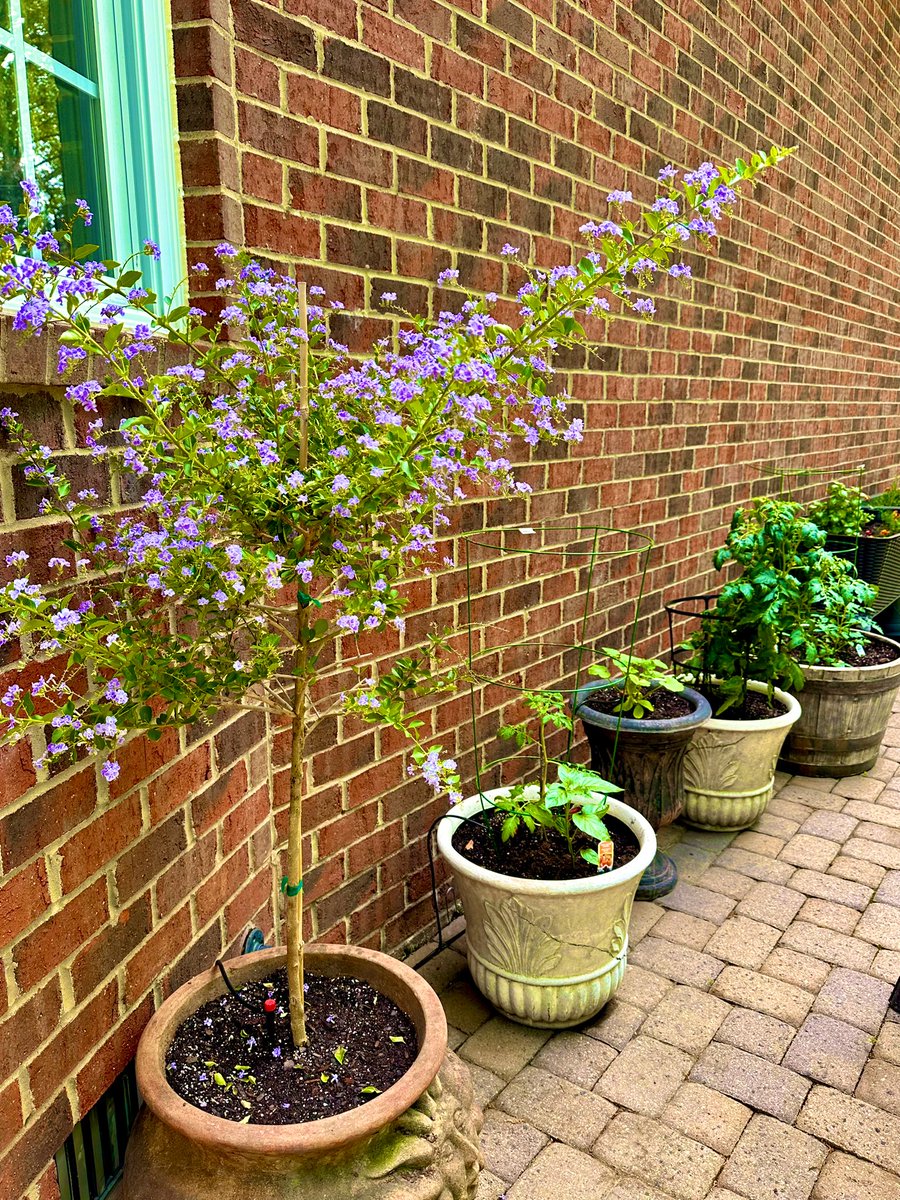 Jenn Fischetti tweet media