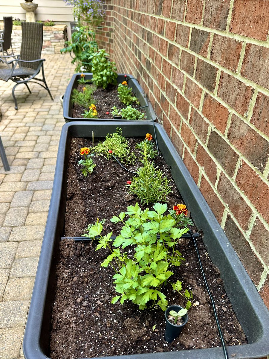 Jenn Fischetti tweet media