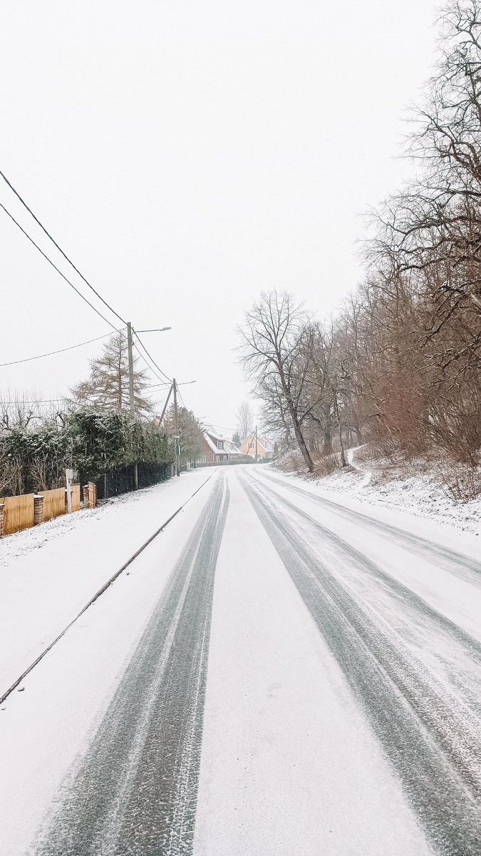 Spring in Estonia be like...