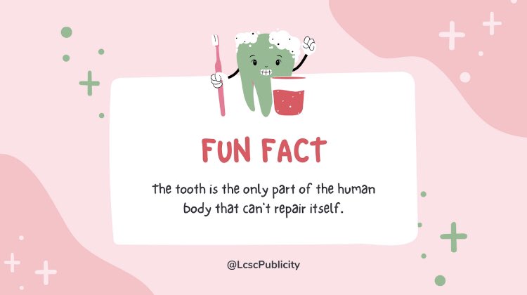 LcscPublicity's tweet photo. FUN FACT FRIDAY!! 🦷 https://t.co/fUmRyFo32t