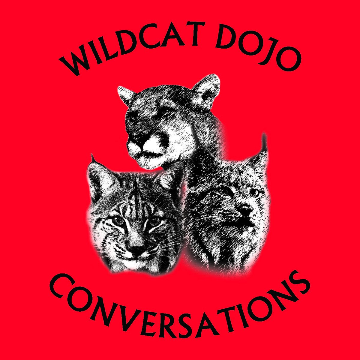 wildcatdojo tweet picture