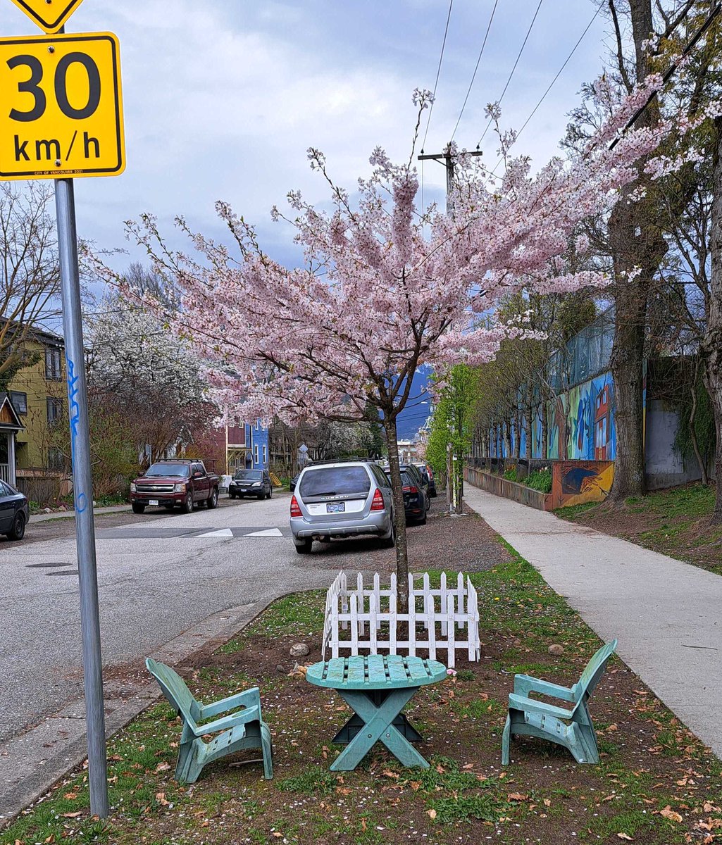 What happens when neighbours take street transformations into their own hands? Beautiful moments, like these two kid-sized chairs and table we found under a blooming cherry tree near our office 🌸 Read more in our latest newsletter: mailchi.mp/happycities/br…