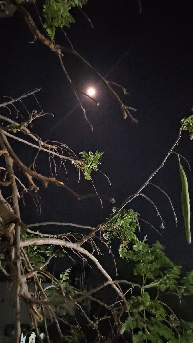 who_JSS's tweet photo. Valarpirai nilaa va capture panean oorukku vandhu 😍🥰
To everyone battling in silence and also dedicating to everyone who voted for a better India💜
Let's hope for peaceful days ahead 🙌💕🫠
#hope
#moonclicks
#purpleclicks
#jEdits
#nilaa
#ARR
#musicforsoul https://t.co/SRfS2ZMXEZ