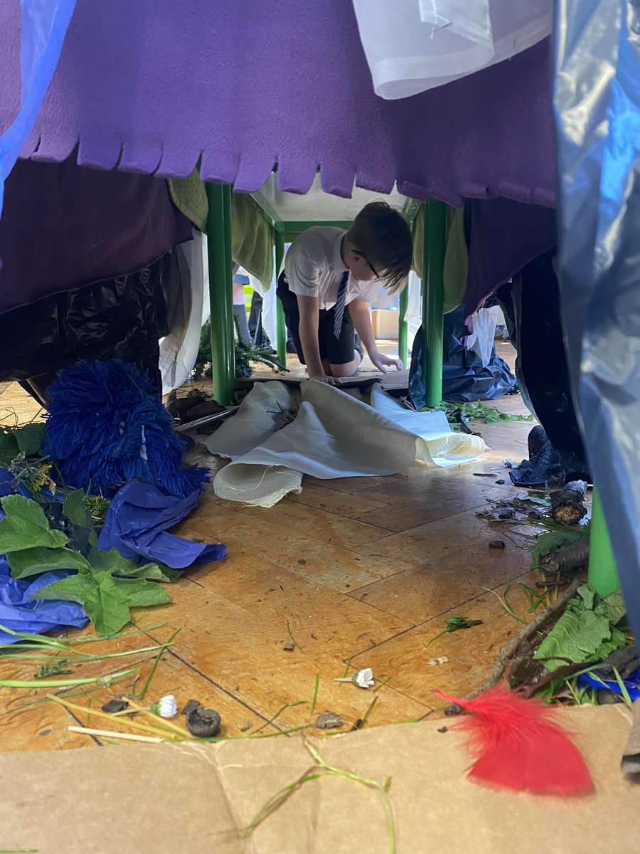 Year 4 HighStPrimary tweet media