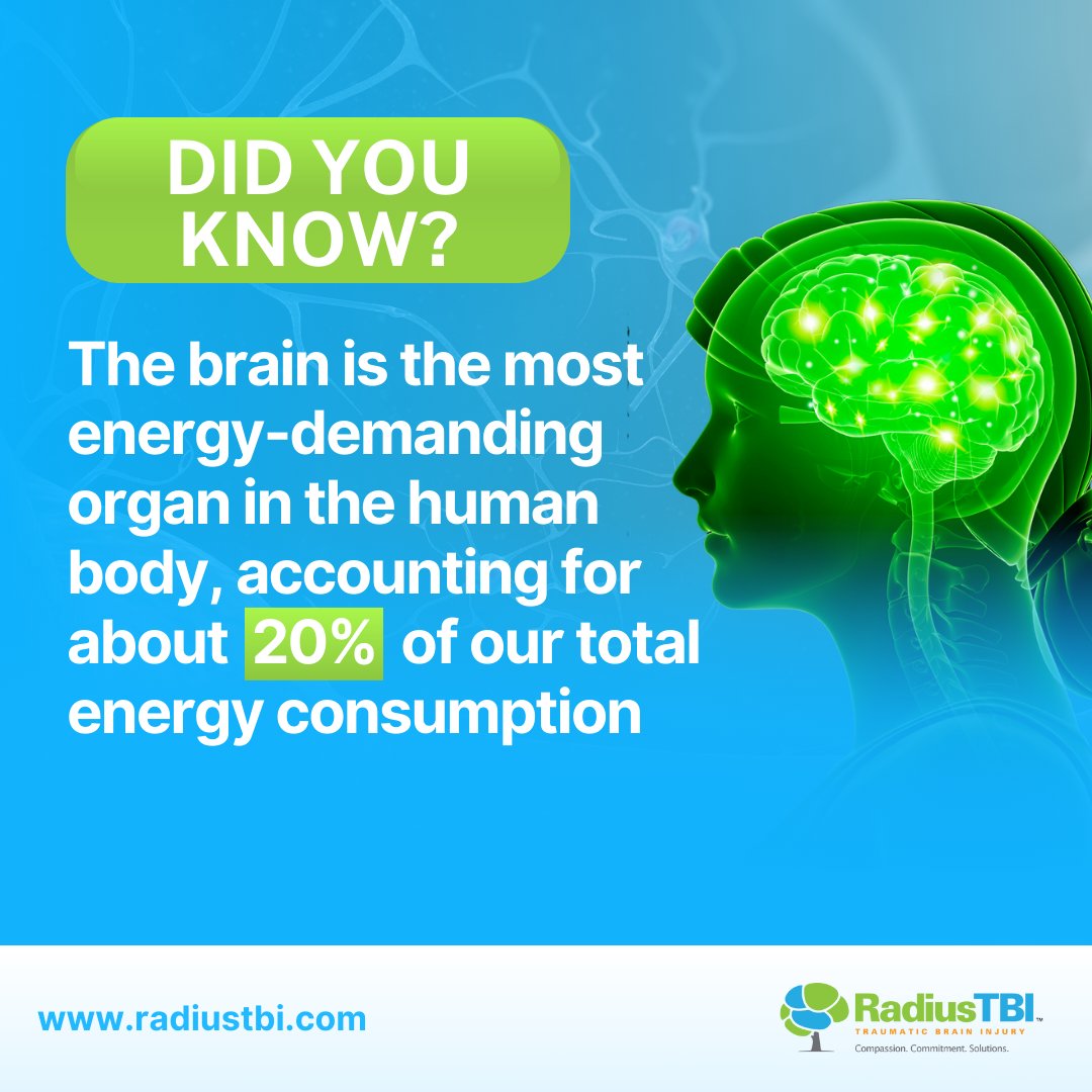 Brain alert: It's only 2% of body weight but needs 20% of our energy! Feed it right for top performance. Tips on our Instagram! 

🔗instagram.com/p/C5826HqSUeZ/

 #RadisuTBI #BrainBoost #EatSmart