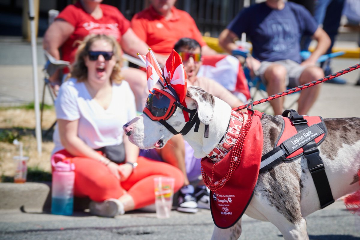 Registration for the 2024 Canada Day Parade remains open until Saturday, June 1st. Come be a part of celebrating our community and join in the parade! 🍁

Sign up here: tourismabbotsford.ca/parade-applica…

#TourismAbbotsford #ExploreAbbotsford #CanadaDay2024 #AbbotsfordCanadaDay