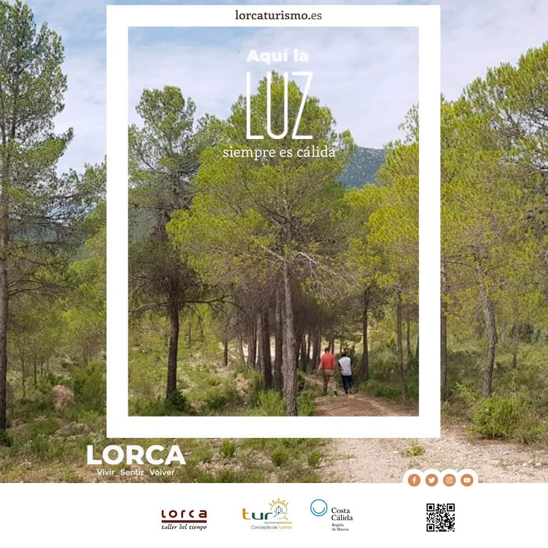 lorcaturismo_es's tweet photo. ❤Enamórate de la belleza incomparable de los imponentes parajes naturales🌳 de nuestro municipio
·
ℹ️ https://t.co/EuJQ0xuZC0
·
#LorcaLoBordamos #ParajesNaturales https://t.co/bZgXMyzOO6