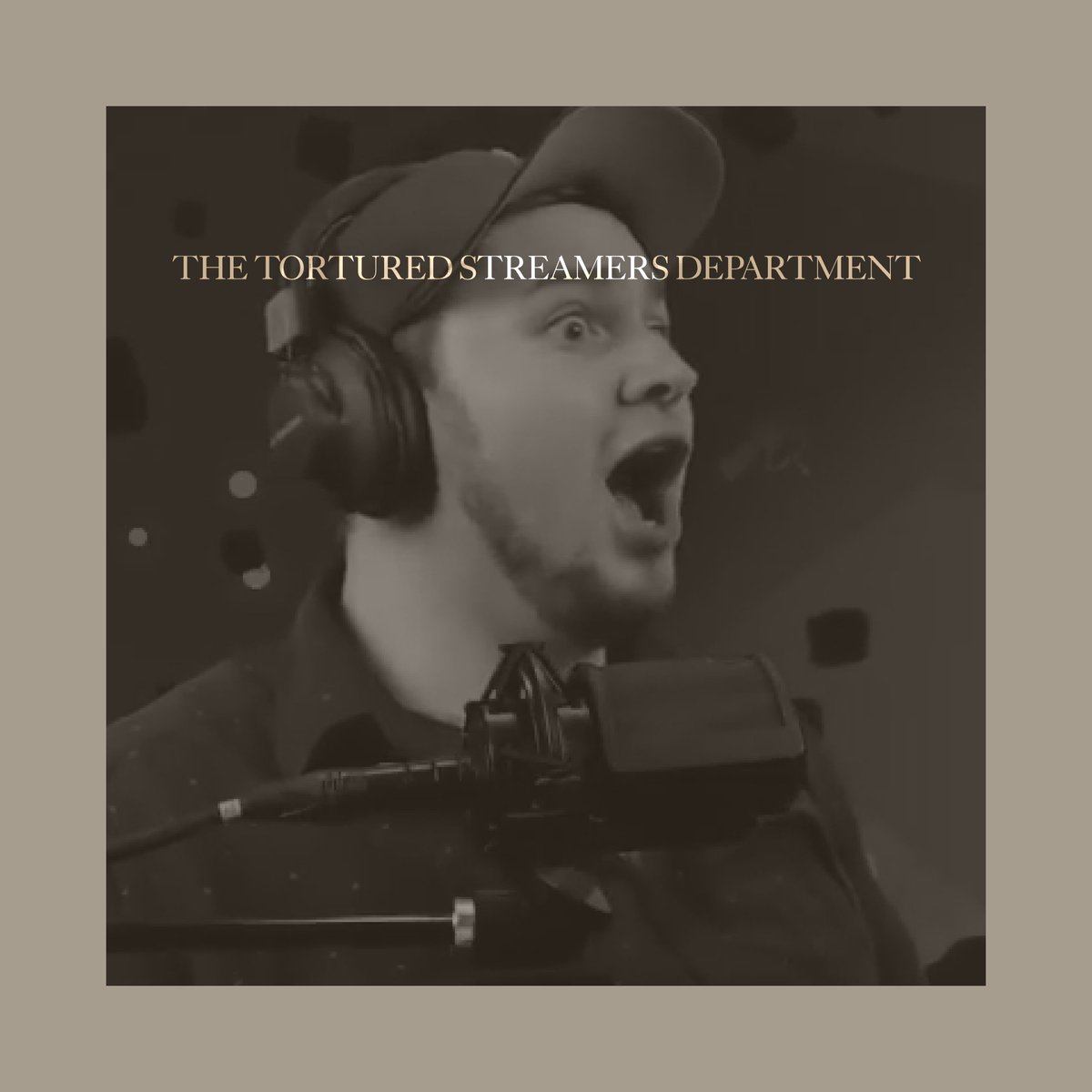 All is fair in games and chaos. Sincerely, The Chairman of the Tortured Streamers Department. #TSTTPD