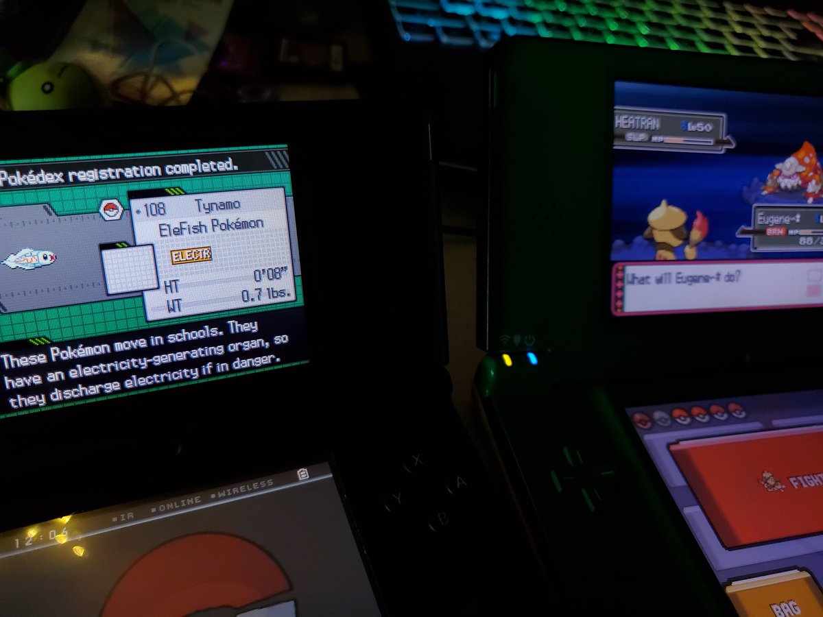 audiepup's tweet photo. double full odds shinies???? trying to catch this shiny heatran and a shiny tynamo showed up... wild https://t.co/MxkrjwSSBT