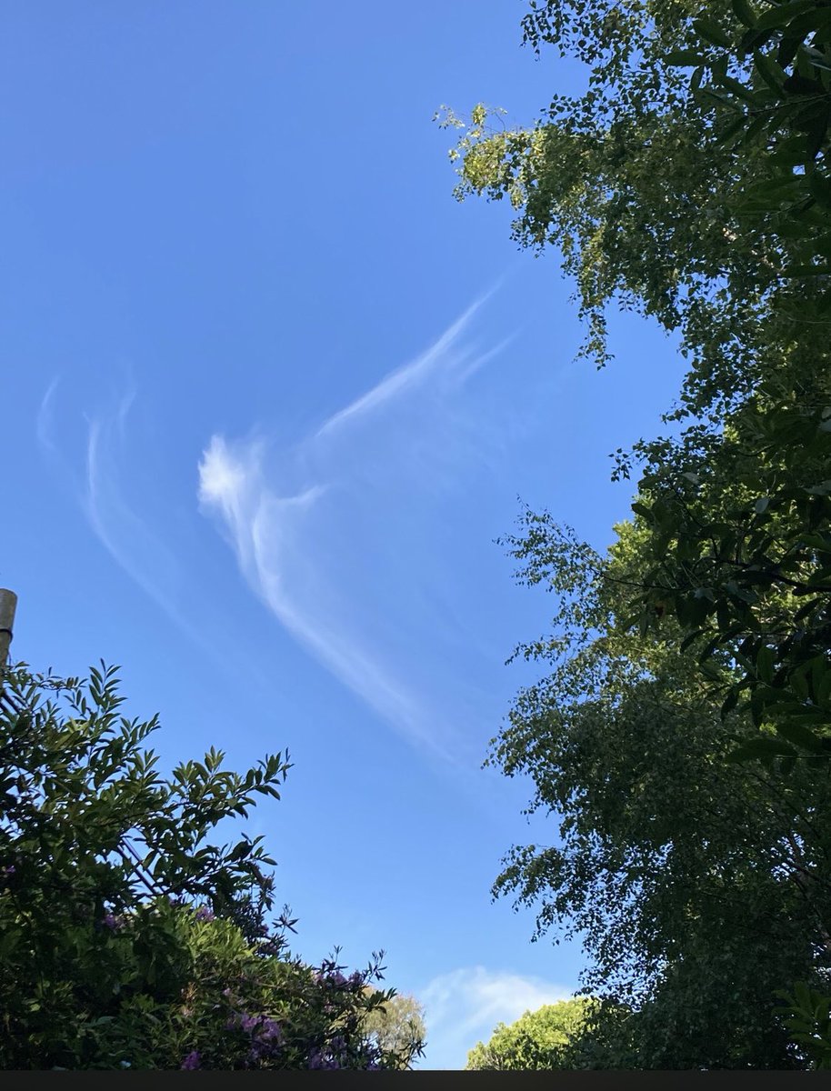 <a href="/BethMooreLPM/">Beth Moore</a>