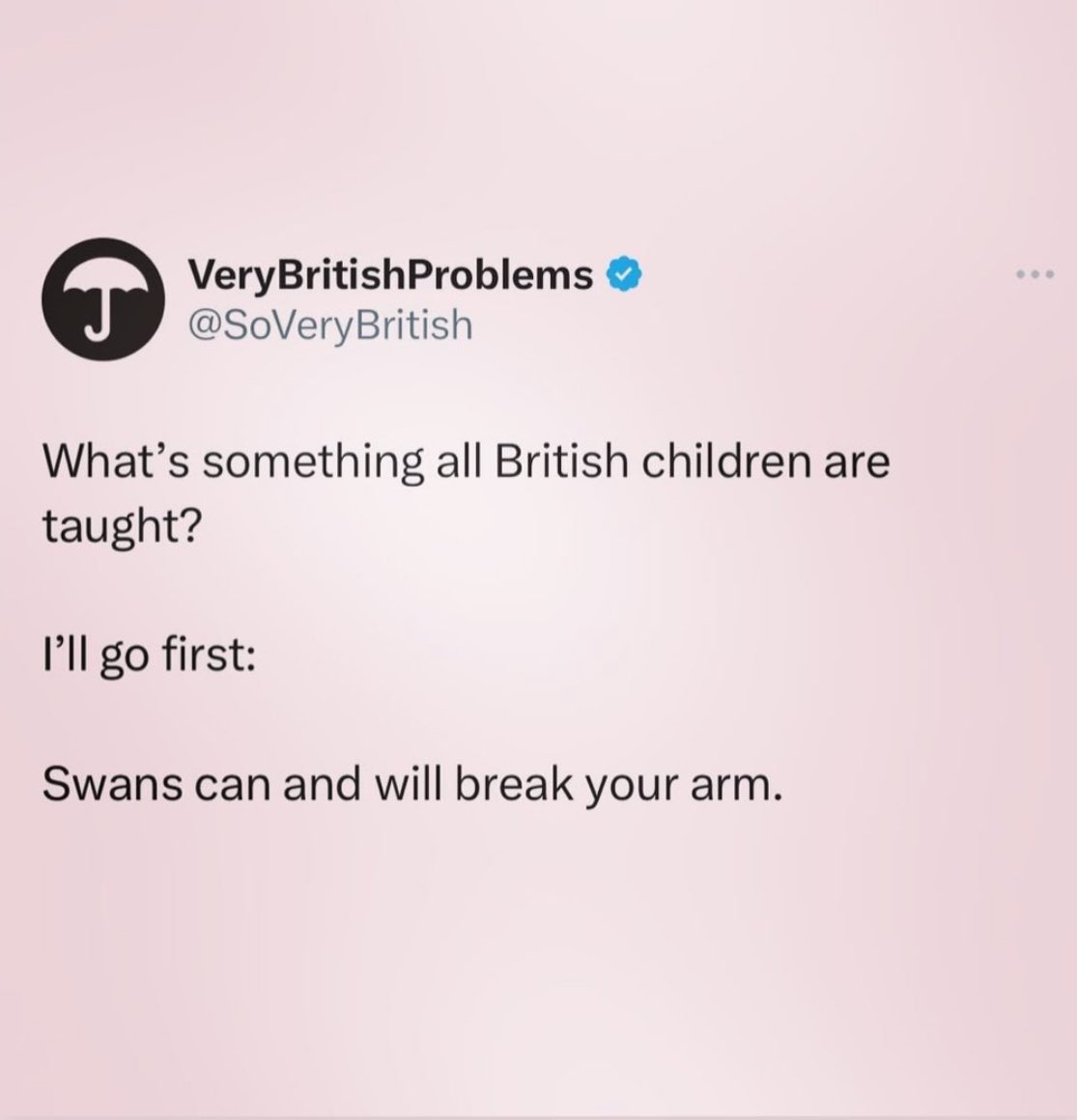 SuperkingPatC's tweet photo. Don’t mess with swans eh @jk_rowling? #TheHallmarkedMan #SwanAtYourPeril #FridayWorkDrinks #HarveysBristol #Treble20 #SwearJarTales https://t.co/jqA22z5MID