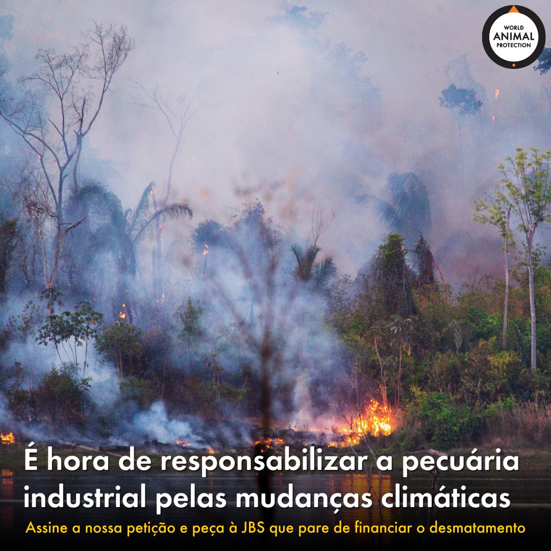 🔥 A pecuária industrial está impulsionando as mudanças climáticas 🔥⁣⁣
⁣⁣
A destruição de habitats, o sofrimento dos animais e as mudanças climáticas estão todos conectados. 😰💔⁣⁣
⁣⁣
🔗 Ajude a acabar com isso: bit.ly/4aZO49i
⁣⁣
#FimÀPecuáriaIndustrial