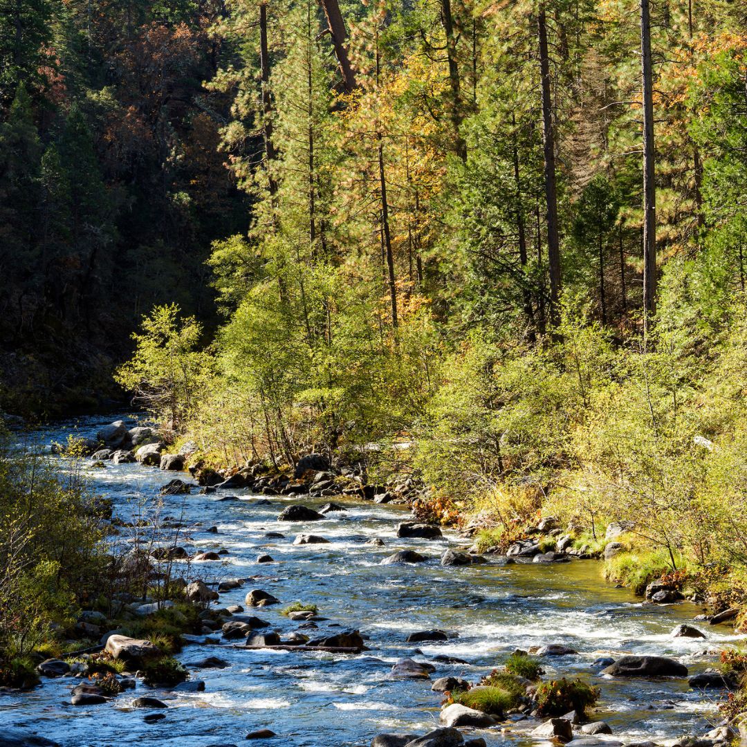 Earth Day is Monday, let's show some love to the planet we call home! 🌿 California State Parks are gearing up for a weekend packed with lots of fun events!🌲 There's something for everyone to enjoy. Learn more: parks.ca.gov/Celebrate-with…!