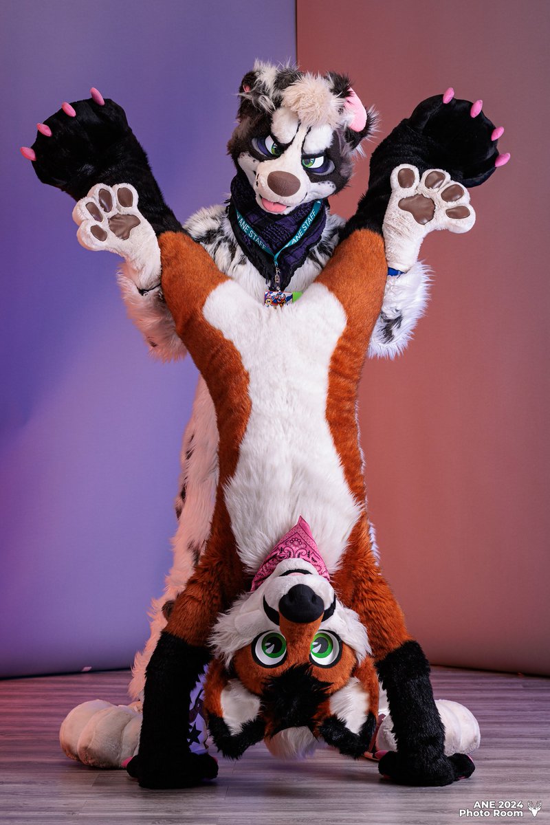 Wishing y'all a #FursuitFriday featuring these BABES 📷 @ANEPhotoTeam ✂️ @mixedcandy @ThePhoenixNest_