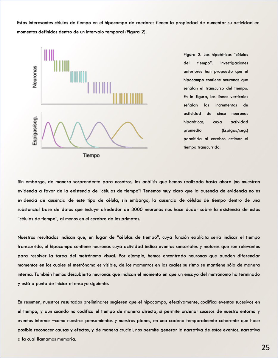 malagonanam's tweet photo. Aquí les comparto el artículo de divulgación 🩷🧠✨ https://t.co/WgQUAPpk48
