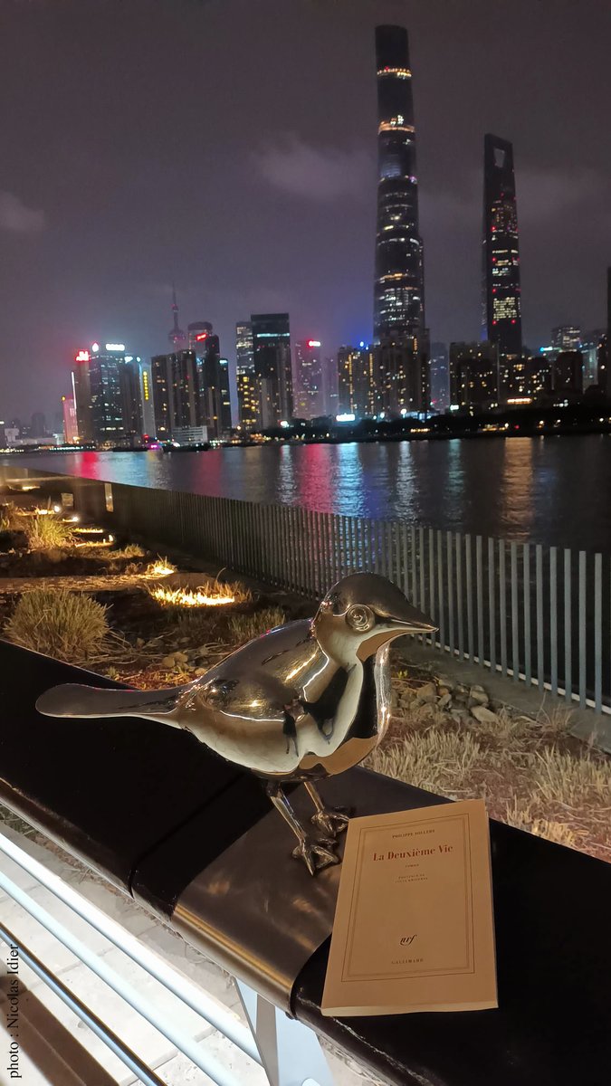 PhilippeSollers's tweet photo. La Deuxième Vie, Shanghai
photo : Nicolas Idier https://t.co/NiqydLVf3S