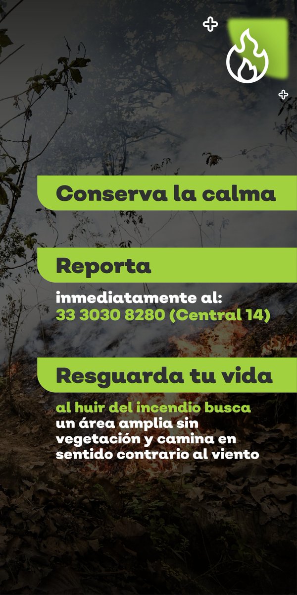 Con tu reporte oportuno y la ubicación que nos indiques, nos preparamos de manera inmediata para trasladarnos hacia el #IncendioForestal y lograr un combate eficaz.