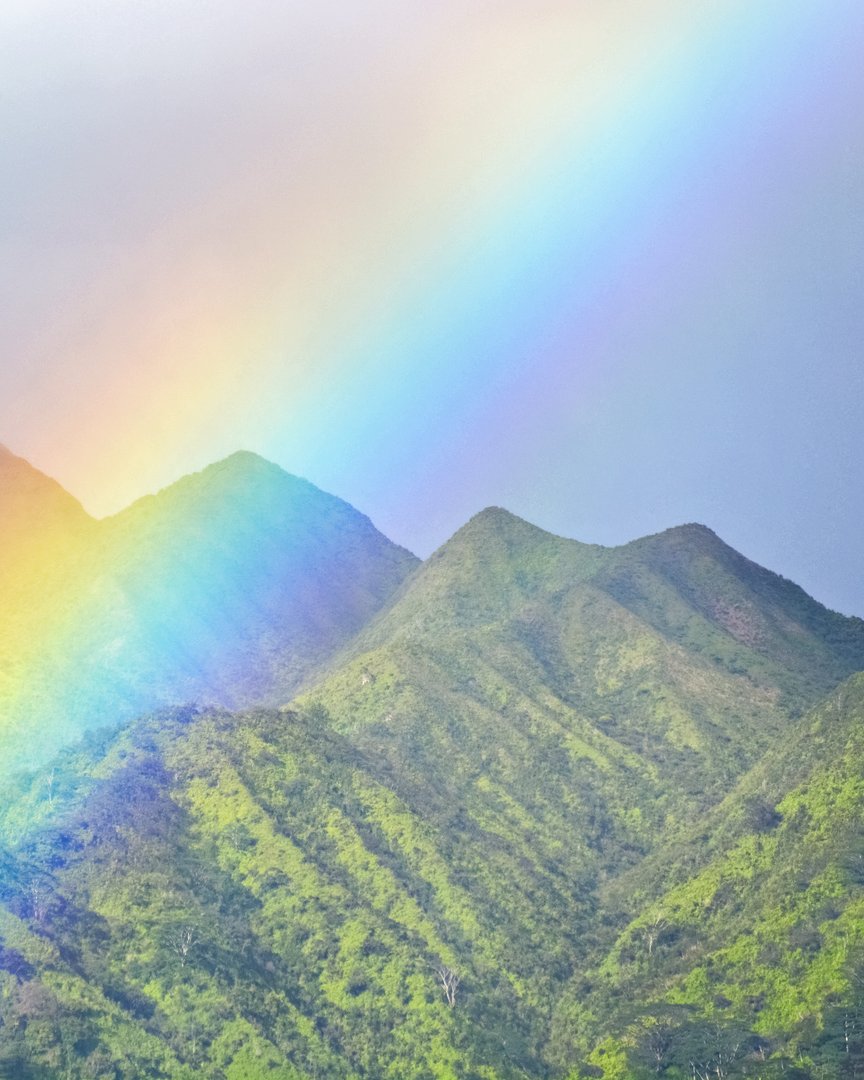 Discover the true colors of paradise when you #StayVive

#hawaii #rainbows #beachdays