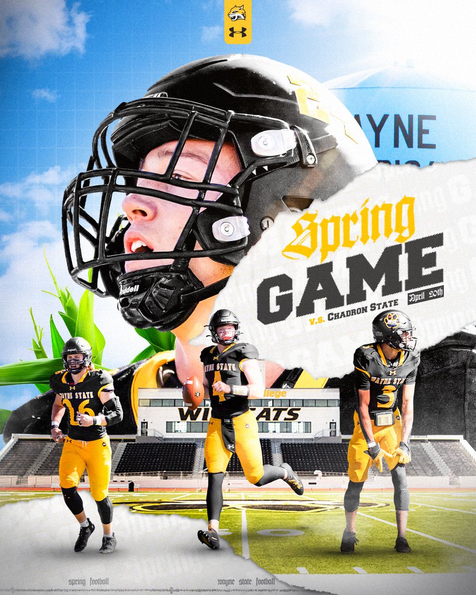 🚨🐯🐾🚨

Tomorrow... 🕔🗓️🏈

#ForThePaw #BLACKxGOLD