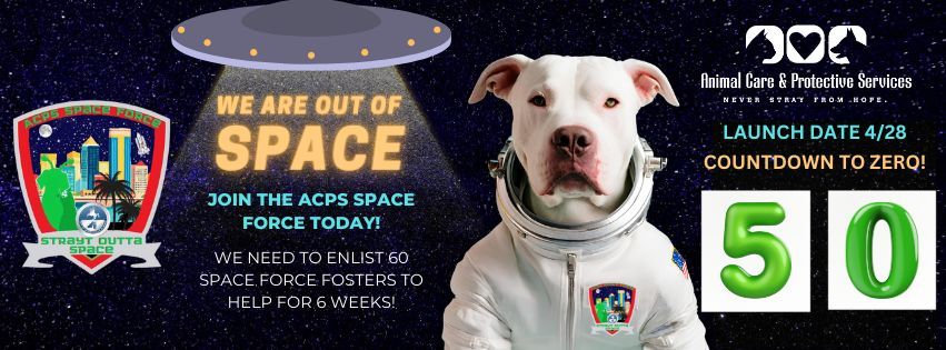 Jacksonville, we need YOUR help to make this happen! Our space force is still urgently searching for 50 foster homes for 6 weeks while our shelter undergoes critical repair. If you can help, our team will supply supplies and support (and of course, the pup). ☄️ ✨ #jacksonvillefl