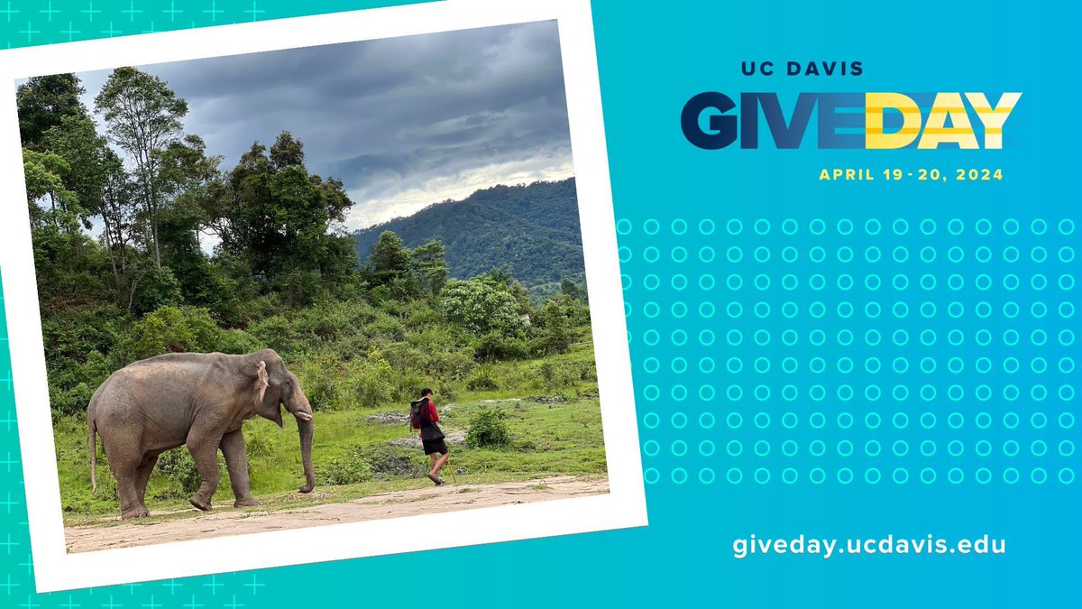 Help us provide passports to undergraduate students. 20 gifts to the Sullivan Family Global Affairs Passport Access Support Fund on #UCDavisGiveDay will activate a $8,000 challenge gift from the Patrick &amp; Cecelia Sullivan Family Foundation! Give now at giveday.ucdavis.edu/globalaffairs