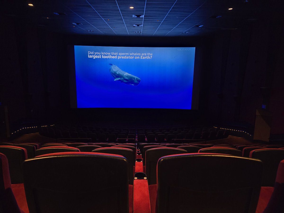 Such a packed theater