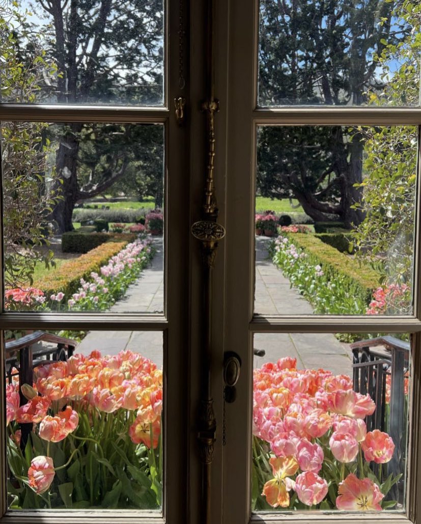 ‍ ‍ ‍ ‍ ‍ ‍𝓔lain. (@soulofpetals) on Twitter photo 