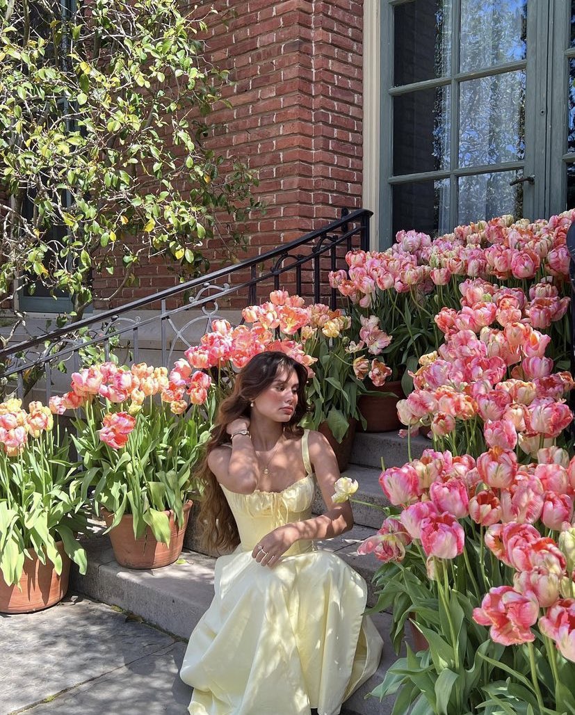 ‍ ‍ ‍ ‍ ‍ ‍𝓔lain. tweet media