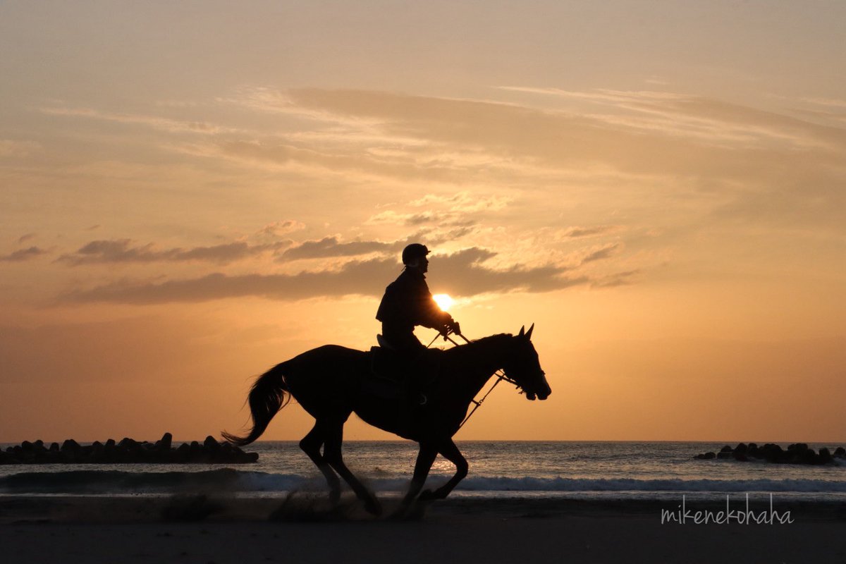 久しぶりの烏崎海岸。
＃相馬野馬追
＃烏崎海岸
＃horselovers