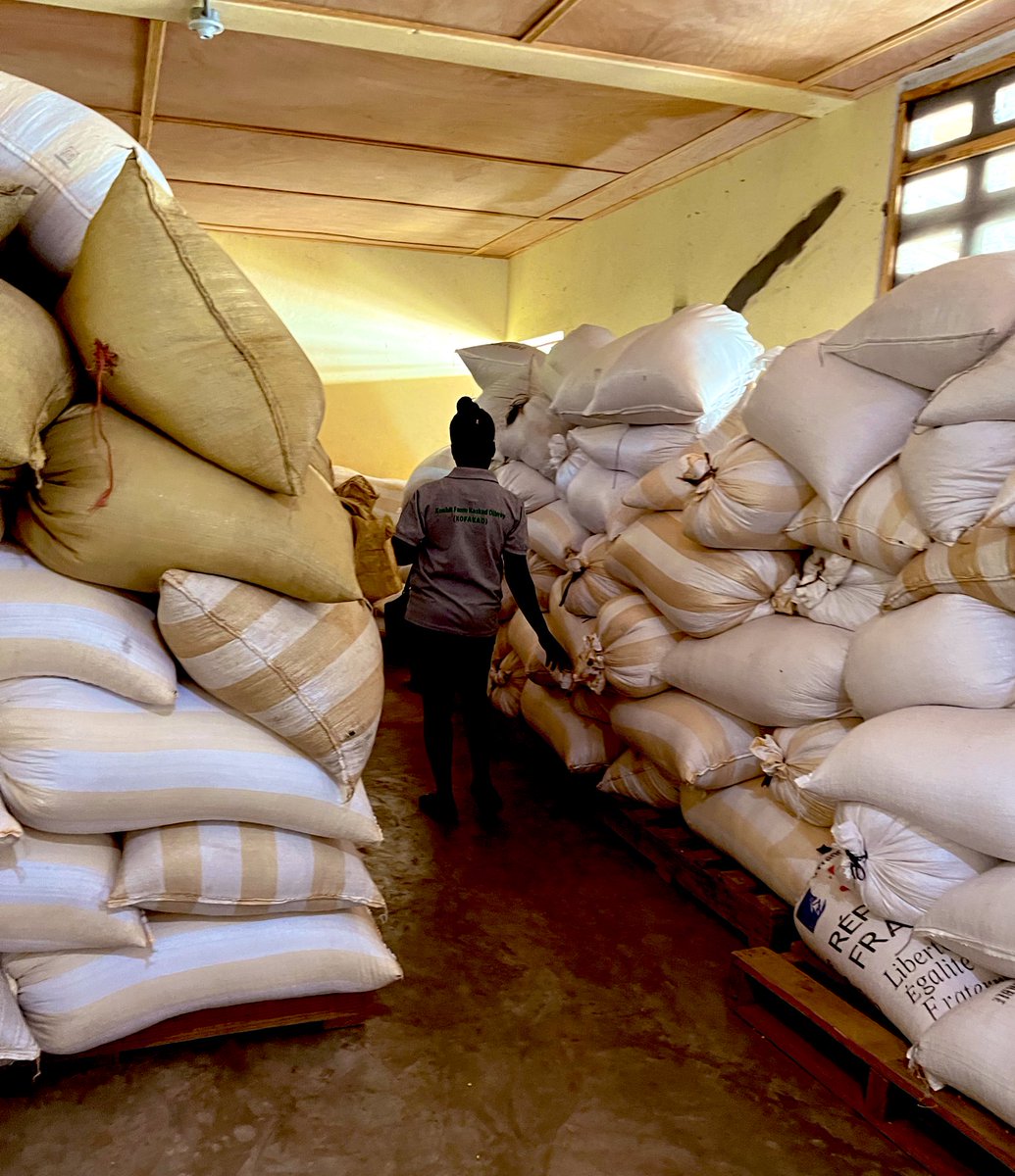 Today @WFP supported 259k people in Haiti 🇭🇹. Here is the breakdown: -9k hot meals delivered -218k school meals delivered, sourced mostly from local farmers -30k people received cash transfers in Jeremie and Gonaives -2k people received food rations in Le Cap. #HaitiStrong