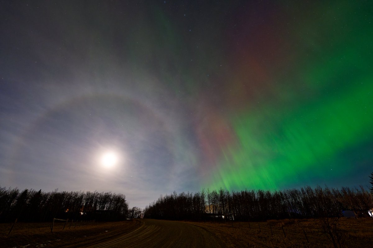 Decent aurora last night. There was a slight haze and the near full moon had a rainbow halo, moon bright and Northern light was quite a sight.