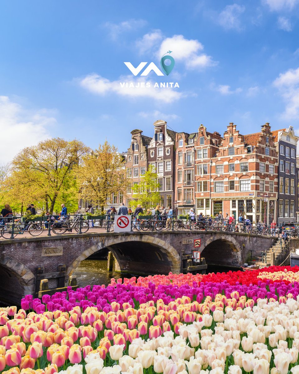 ¡Ven y únete al ritmo vibrante de Ámsterdam!

Contáctanos y reserva HOY 👇🏽
☎️ 223-9980
📱507 6281-9029

#ViajaporelmundoconViajesAnita
#DePanamaParaElMundo #TravelAgency
