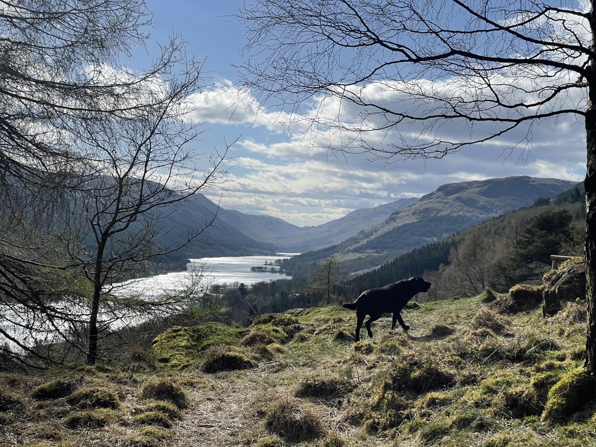 Amazing #Friday #DogWalk as finally seeing the sun #Balquhidder #Scotland 🌞I hope these pictures bring a smile to end the week. Wishing everyone a peaceful weekend and #StaySafeStayHealthy 🙏🐾💙⛰️