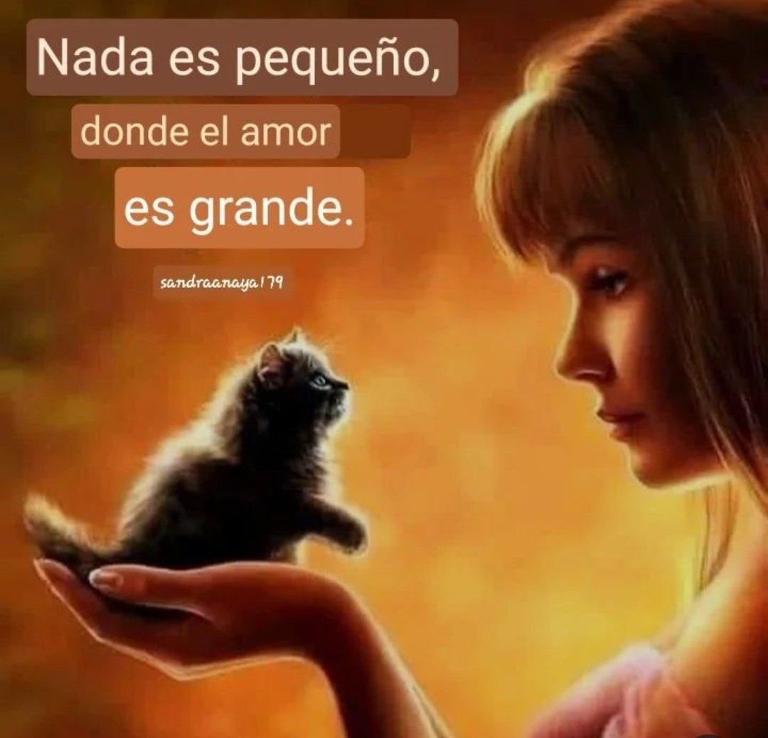 @nydiacervera @gllgina1 @nora_nap @mtz_tt @duky1107 @Negra_start @lasaguis @akyoshi09 @CasLaaU @JohannaLizalde @DaliaMRocha @PatyZavalat @LETICIA777 @Janinah18 @alapez @gretakolarik @zaradrj @Nyu_umi @AvilMac @soymolid @MChamiz @IsabelYsita @Lizzysa @Marvinel3 @l_orii @Uriel66689314 @tete_urbina @mamiblue2015 @Marilu86053 @Marcemgffvg @Lacasadelsalchi @JulietaMRabago @zzamor_animais @iztalccihuatl Siiiii guapísimos 🐶 saludos Nydia 🌹🌞 y feliz fin de semana para todos 🐶🐱🐾 #NoAlMaltratoAnimal