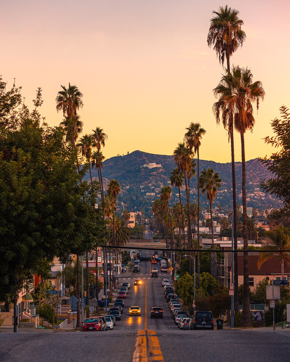 Los Angeles 🌴🌞
Happy Friday 💛
———————
➢ Credit 👉🏆📸 @lenafound
.
.
#conexaoamerica 
#losangeles #canonusa #discoverla #griffithobservatory #hollywood #palmtrees #californiadreaming #visualgrams #bestvacations #california #shotoncanon #abc7eyewitness #sunsetphotography