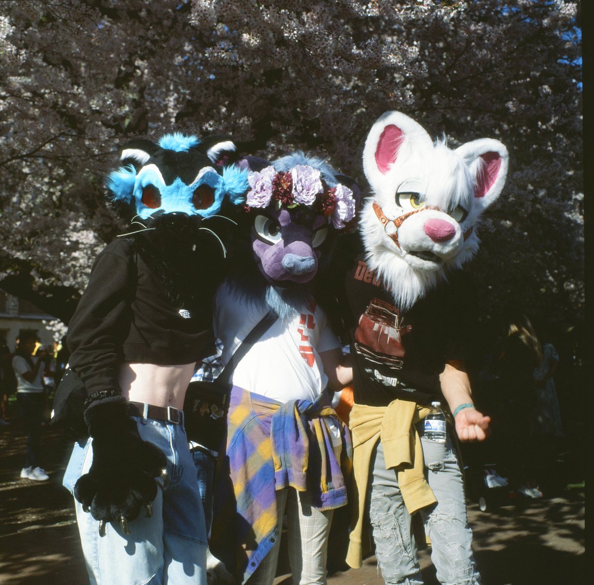 Bts army ❤️❤️
#FursuitFriday